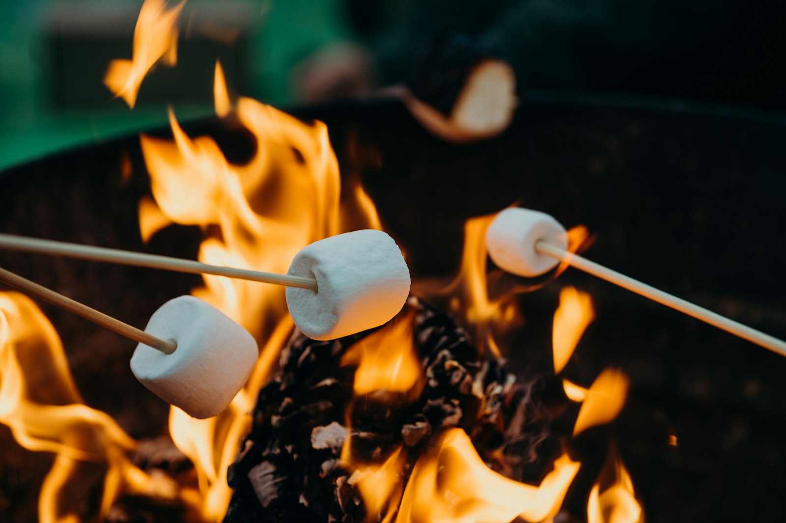 Survival First Aid: A BuyerÃ¢â‚¬â„¢s Guide